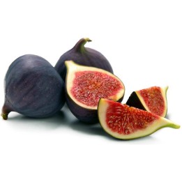 Semi di Fico comune (Ficus carica L.) - 228.714671