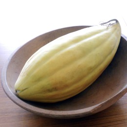Banana Melone Samen - 252.172586