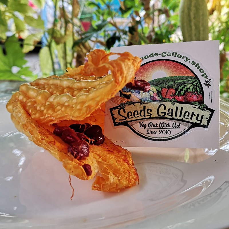 Gorka Dinja - Karfela Seme (Momordica charantia) | Seeds Shop Store