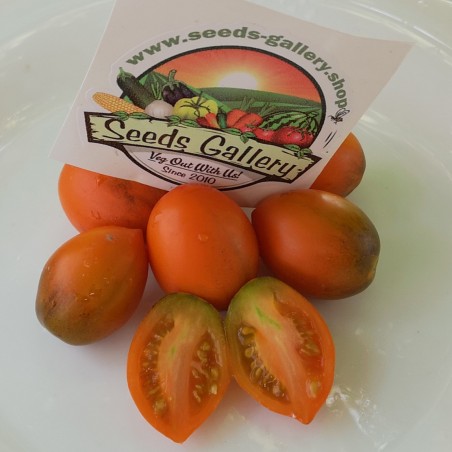 Summer Temptation tomatfrön | Seeds Shop Store
