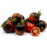 Blå choklad tomatfrön | Seeds Shop Store