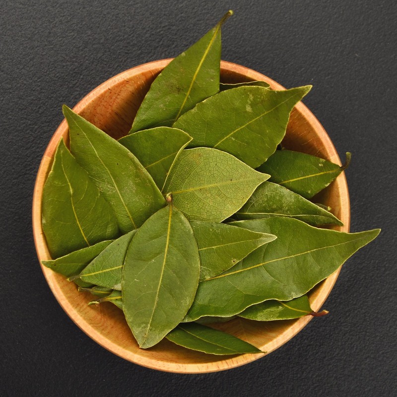 Lorbeerbaumblätter aus Griechenland | Seeds Shop Store