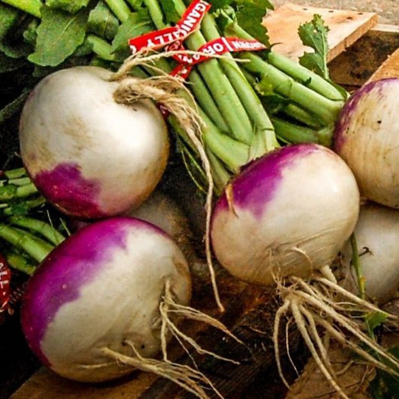 Beet Kranjska round seeds | Seeds Shop Store