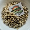 Pistachio seeds Greek variety Aegina (Pistacia vera) | Seeds Shop Store