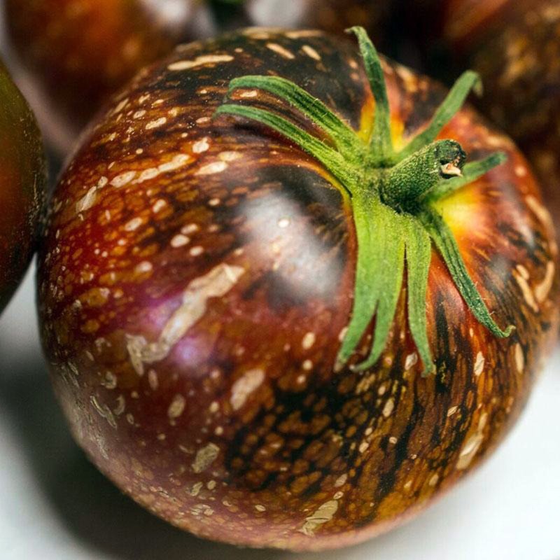 Sementes de tomate Dark Galaxy | Seeds Shop Store