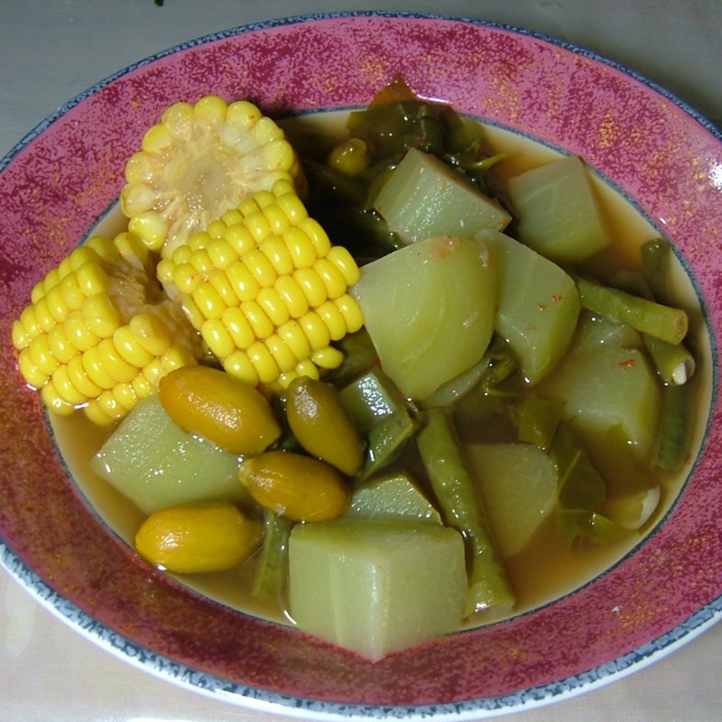 Melinjo Seeds (Gnetum gnemon) | Seeds Shop Store