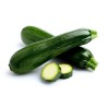 All Green Bush Courgette Seeds | Seeds Shop Store