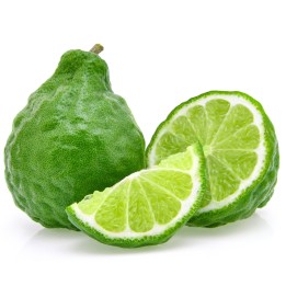 Sementes de laranja-bergamota (Citrus bergamia) - 3.15