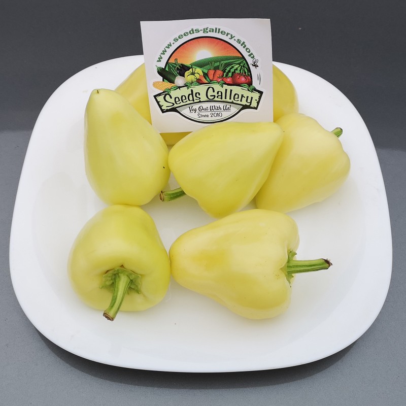 Somborka paprika Frön | Seeds Shop Store