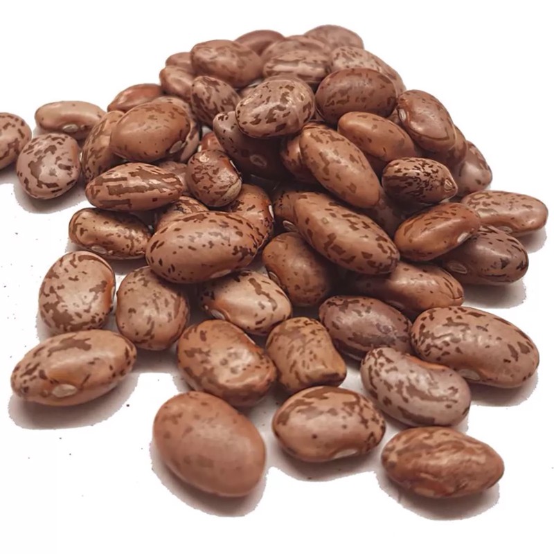 Inka Beans Seeds | Seeds Shop Store