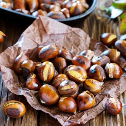 Chinese Chestnut Seeds (Castanea mollissima) - 9