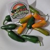 Jalapeno M Chili Seeds | Seeds Shop Store