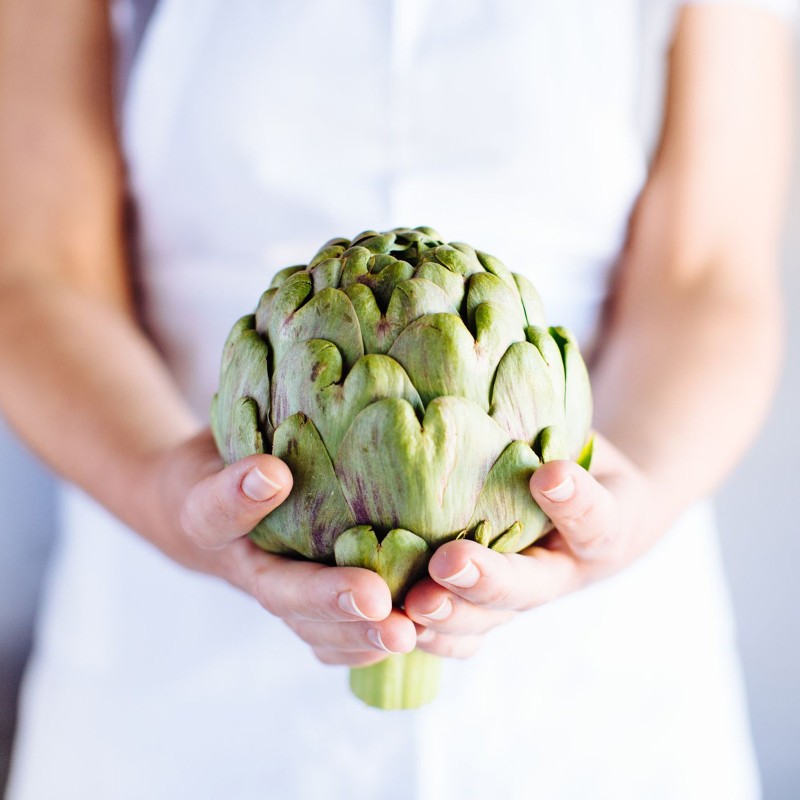 Sementes de alcachofra Green Globe | Seeds Shop Store