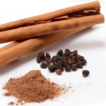 Сamphor Tree Cinnamon Seeds (Cinnamomum camphora) | Seeds Shop Store