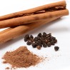 Сamphor Tree Cinnamon Seeds (Cinnamomum camphora) | Seeds Shop Store