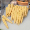 Mini Gold sweet corn seeds | Seeds Shop Store