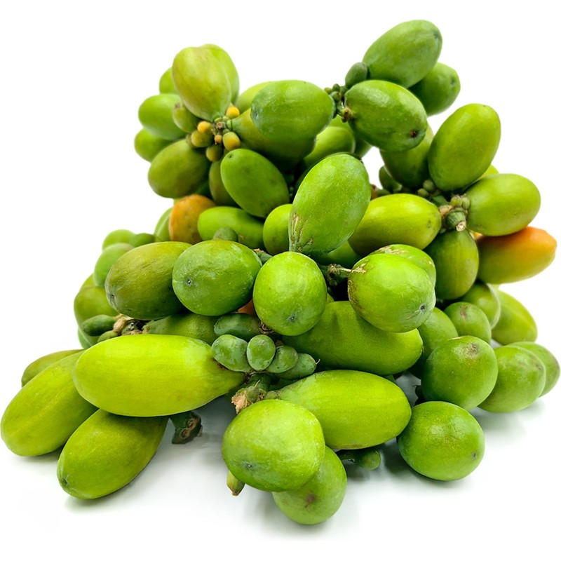 Melinjo Seeds (Gnetum gnemon) | Seeds Shop Store