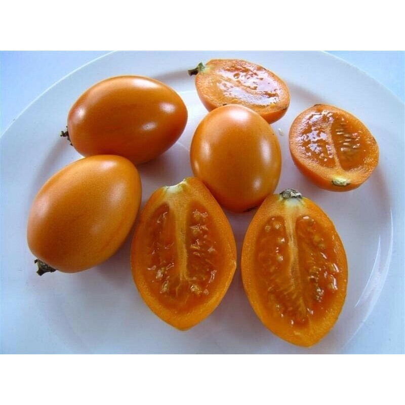 Yellow Tamarillo Seeds (Golden Tamarillo) | Seeds Shop Store