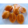 Yellow Tamarillo Seeds (Golden Tamarillo) | Seeds Shop Store