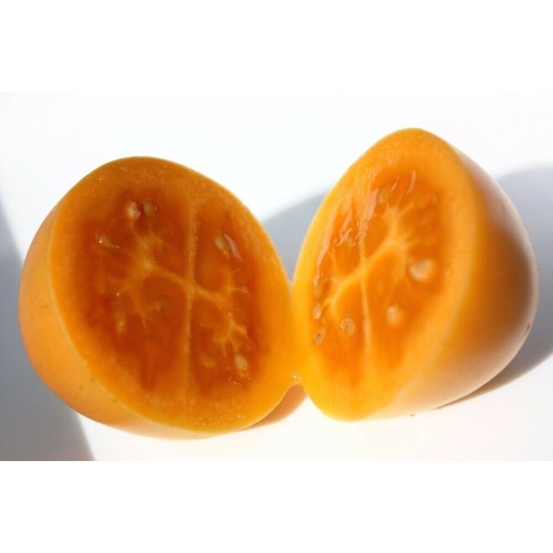 Yellow Tamarillo Seeds (Golden Tamarillo) | Seeds Shop Store