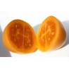 Yellow Tamarillo Seeds (Golden Tamarillo) | Seeds Shop Store
