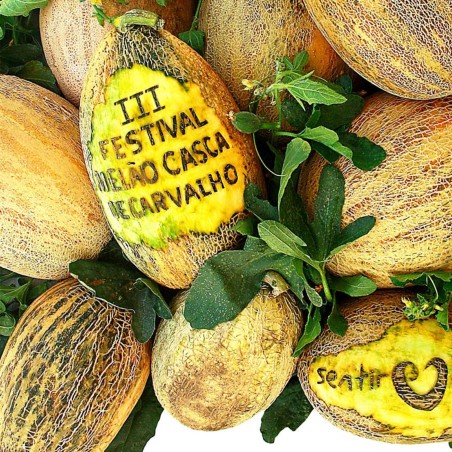 Sementes de Melão Casca de Carvalho | Seeds Shop Store