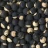 Ballonrebe Samen (Cardiospermum halicacabum) | Seeds Shop Store