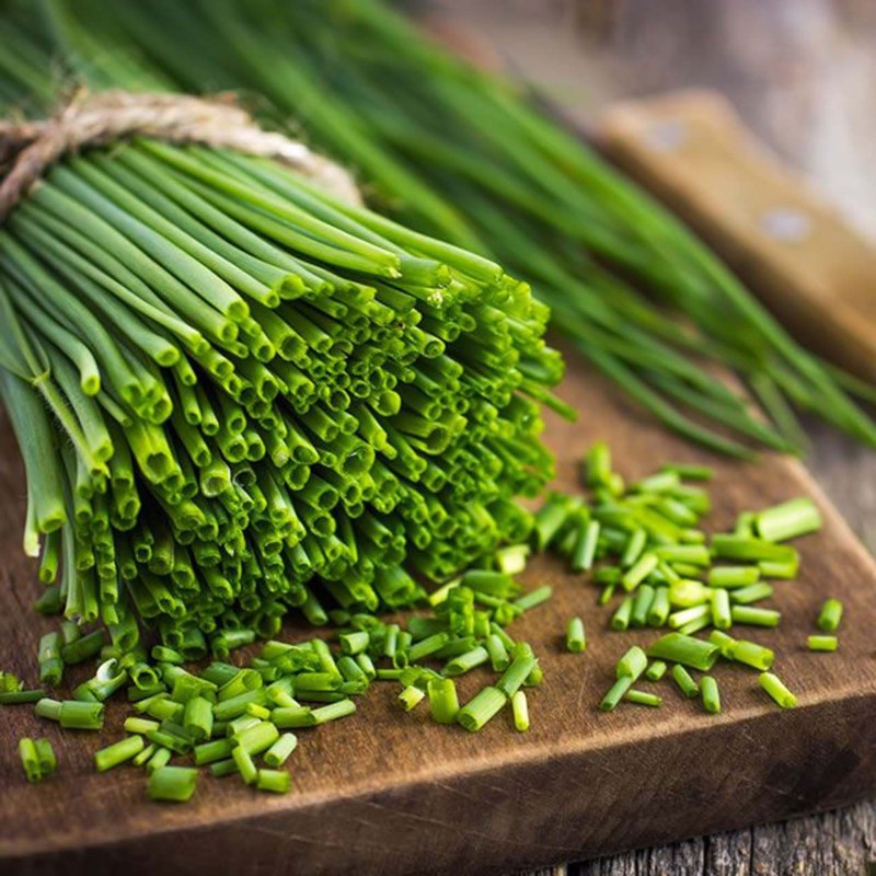 Vlasac Seme (Allium Schoenoprasum) | Seeds Shop Store