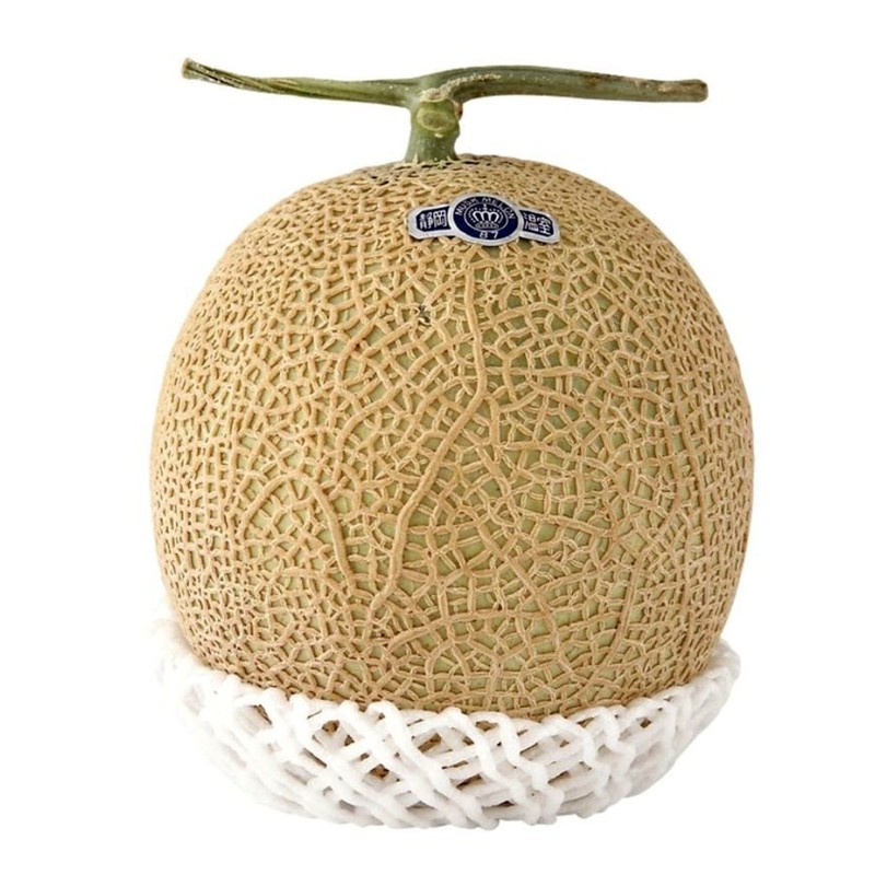Shizuoka Crown Melonfrön | Seeds Shop Store