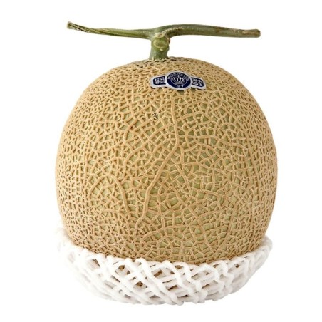 Shizuoka Crown Melonfrön | Seeds Shop Store