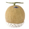 Shizuoka Crown Melonfrön | Seeds Shop Store