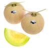 Shizuoka Crown Melonfrön | Seeds Shop Store