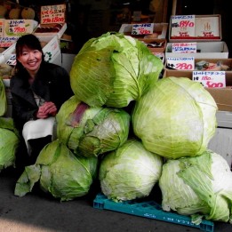 Japanese Giant Cabbage Seeds - 2.385
