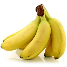 Banana Frön Musa nagensium Cold Hardy -20C - 586.447875