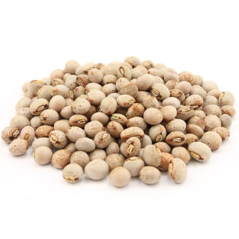 Σπόρος ΜΠΙΖΕΛΙ ΠΕΡΙΣΤΕΡΙ (Cajanus cajan) | Seeds Shop Store