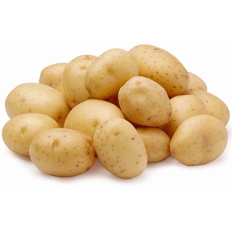 Graines de pommes de terre Gourmet | Seeds Shop Store