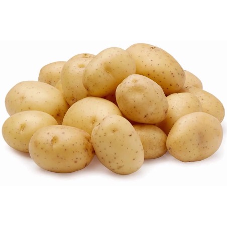 Seminte de cartofi Gourmet | Seeds Shop Store