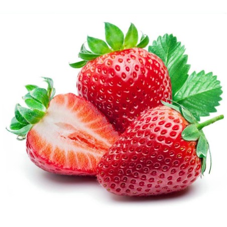 Semi di fragola Earliglow | Seeds Shop Store