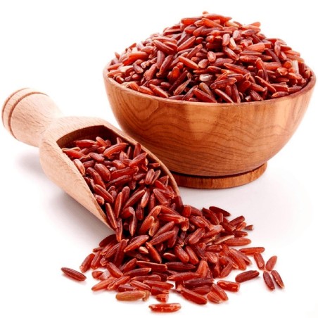 Semillas de arroz rojo Rakthashali | Seeds Shop Store