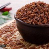 Semillas de arroz rojo Rakthashali | Seeds Shop Store
