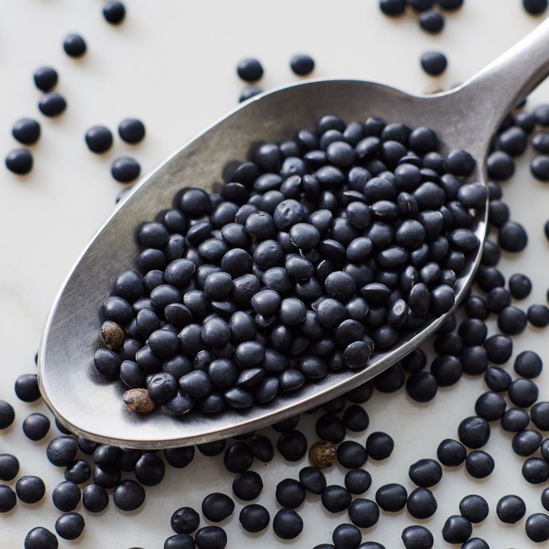 Sementes de lentilha preta Beluga | Seeds Shop Store