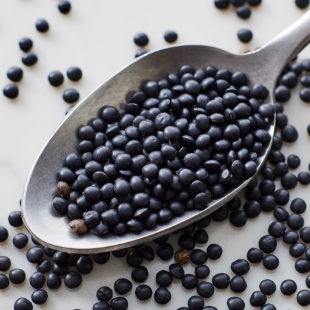 Sementes de lentilha preta Beluga | Seeds Shop Store