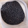 Sementes de lentilha preta Beluga | Seeds Shop Store