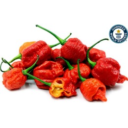 100 zaden Carolina Reaper - 4.95