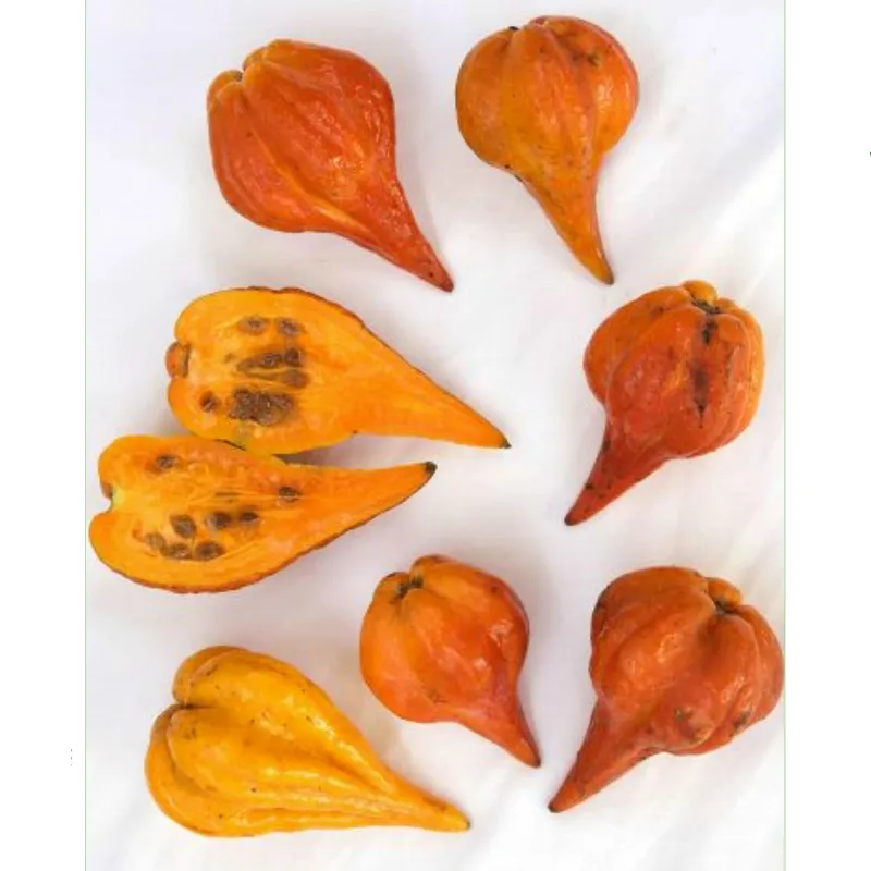 Sementes raras de papaia Carica weberbaueri | Seeds Shop Store