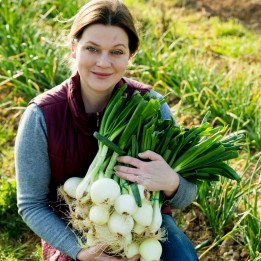 Σπόροι κρεμμυδιού Paris Silverskin - 234.57915