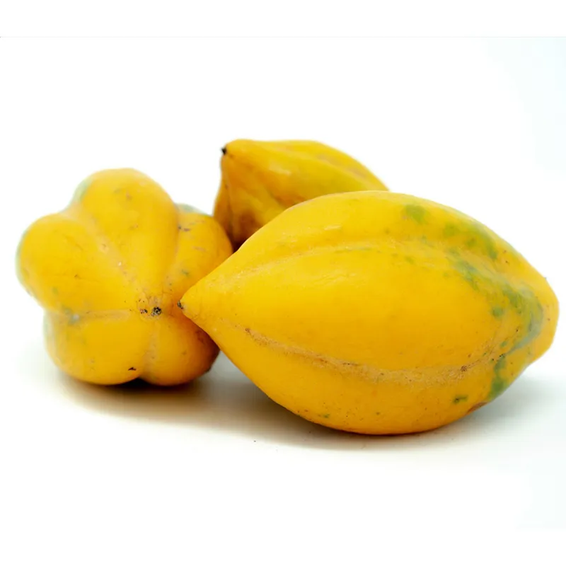 Sementes papaia-de-montanha, chamburo (Vasconcellea pubescens) | Seeds Shop Store