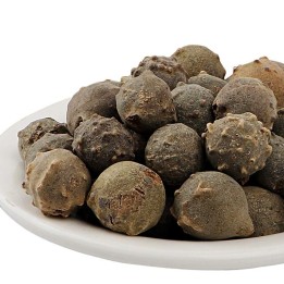 Sementes de carvalho Aleppo (Quercus infectoria) - 8.955
