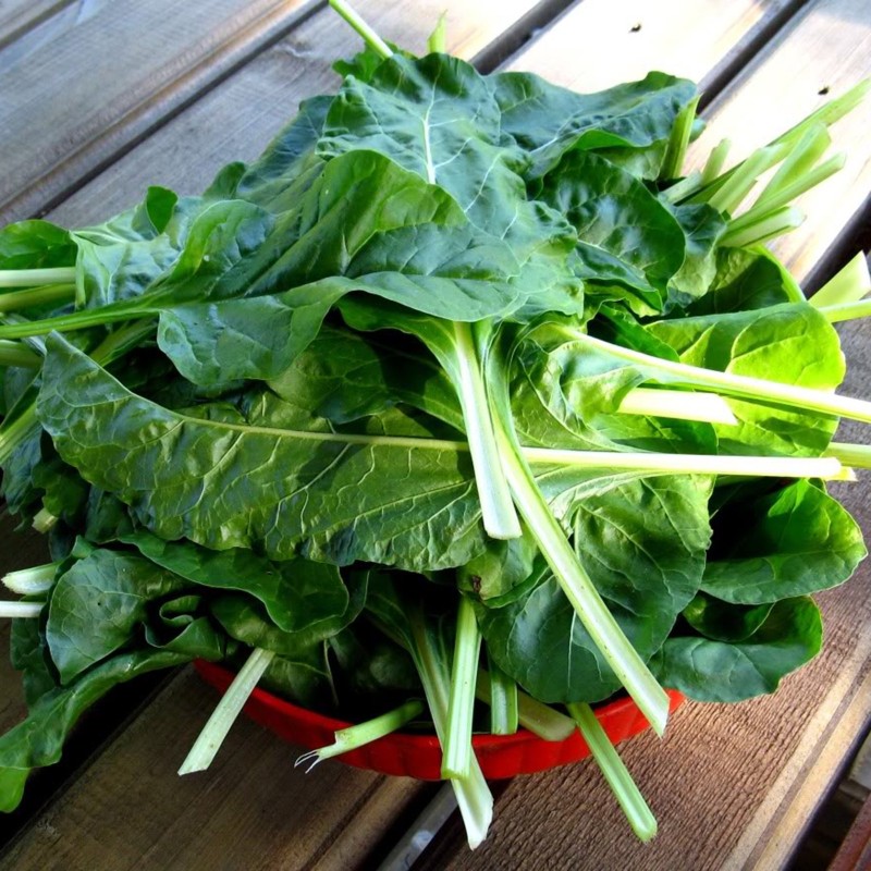 White Silver Mangold frön | Seeds Shop Store