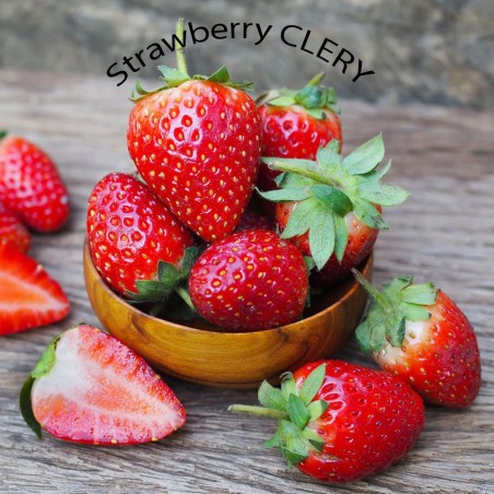 Sementes de morango 2 em 1 APRICA + CLERY | Seeds Shop Store